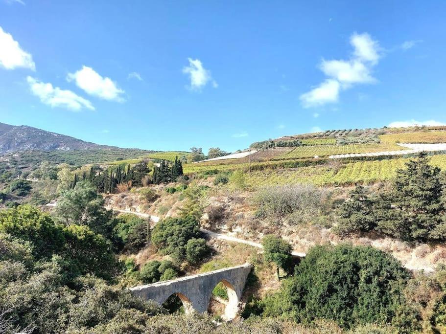 Knossos Metoxi别墅 外观 照片